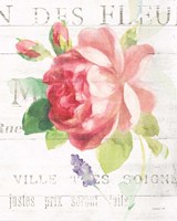 Maison des Fleurs VIII Framed Print