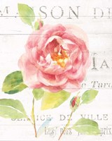 Maison des Fleurs V Framed Print