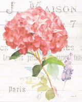 Maison des Fleurs VI Framed Print