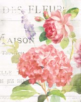 Maison Des Fleurs IV Framed Print