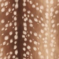 Sweet Fawn I Fine Art Print