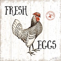 Free Range Fresh IV Fine Art Print