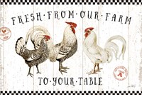 Free Range Fresh I Fine Art Print