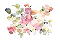 Shades of Pink Watercolor Floral Fine Art Print