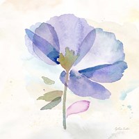 Poppy Single Purple Fine Art Print