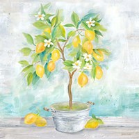 Country Lemon Tree Fine Art Print
