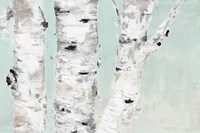 Birch Tree Close Up Fine Art Print
