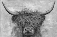 Norwegian Bison Fine Art Print