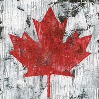 Canada Maple Leaf I Fine Art Print