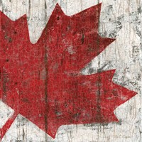 Canada Maple Leaf II Framed Print