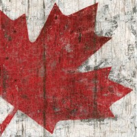 Canada Maple Leaf II Fine Art Print