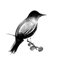 Water's Edge I Fine Art Print