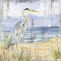 Birds of the Coast Rustic I Fine Art Print