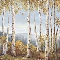 Up Hill Fine Art Print