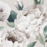 Felicity I Fine Art Print