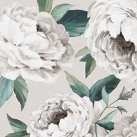 Felicity II Fine Art Print