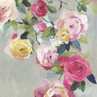 Cascade of Roses I Framed Print