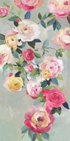 Cascade of Roses III Fine Art Print