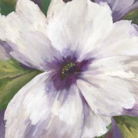 Violet Orchid II Framed Print