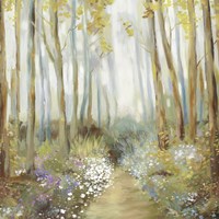 Misty Trees Fine Art Print