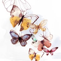 Butterfly Fly Away I Framed Print