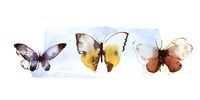 Butterfly Fly Away II Fine Art Print