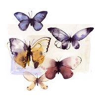 Butterfly Fly Away III Framed Print