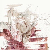 Crimson Lust II Framed Print