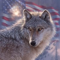 Lone Wolf America Fine Art Print