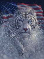 White Tiger America Fine Art Print