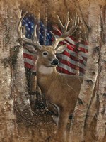 Whitetail Buck America Fine Art Print