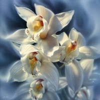 Orchids Fine Art Print