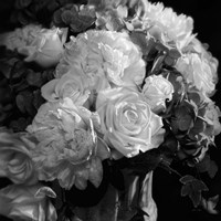 Rhapsody in Bloom - B&W Fine Art Print