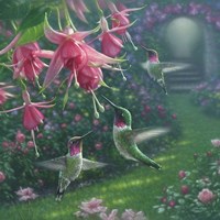Hummingbird Haven - Square Fine Art Print