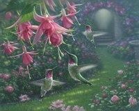 Hummingbird Haven Fine Art Print