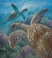 Sea Turtles - Turtle Bay Fine Art Print