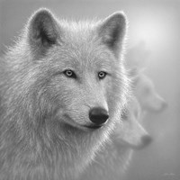 Arctic Wolves - Whiteout - B&W Fine Art Print