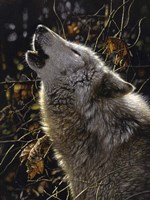 Howling Wolf - Songs of Autumn Fine Art Print