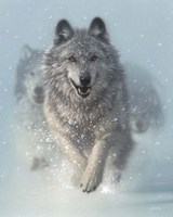 Running Wolves - Snow Plow Fine Art Print