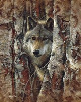 Wolf - Woodland Spirit Fine Art Print