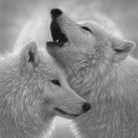 Wolves - Love Song - B&W Fine Art Print
