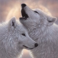 Wolves - Love Song Fine Art Print