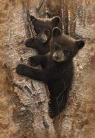 Curious Cubs Fine Art Print