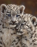 Snow Leopard Cubs - Playmates Fine Art Print