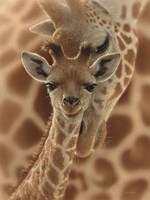 Newborn Giraffe Fine Art Print