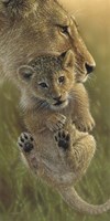 Mother's Pride Fine Art Print
