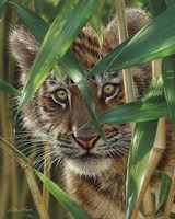 Tiger Cub - Peekaboo Fine Art Print