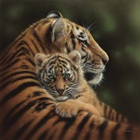 Tiger Mother and Cub - Cherished Fine Art Print