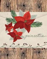 Poinsettias Fine Art Print