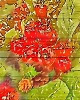 Holly and Berries Fine Art Print